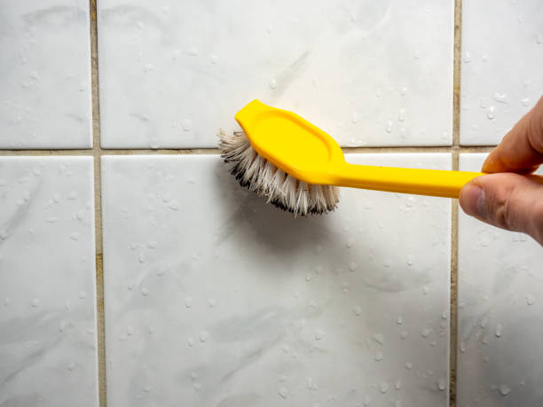 Best Fast Mold Removal  in Springville, UT